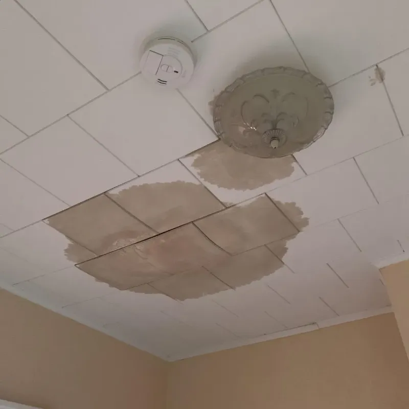 Ceiling Water Damage Repair in Valencia, CA