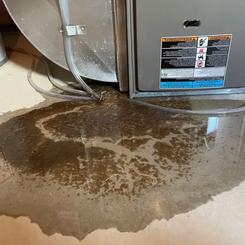 Pipe Burst and Leak Restoration in Valencia, CA